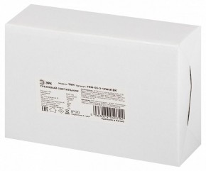Светильник на штанге Эра  TRM-S5-3-12W4K-BK в Кунгуре - kungur.ok-mebel.com | фото 8