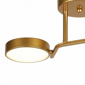 Светильник на штанге Escada Starlight 10273/2LED в Кунгуре - kungur.ok-mebel.com | фото 4