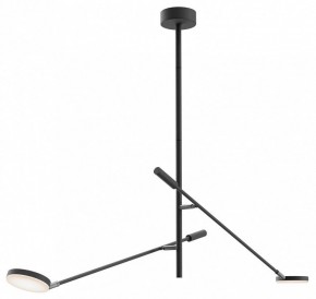 Светильник на штанге Maytoni Fad MOD070CL-L15B3K1 в Кунгуре - kungur.ok-mebel.com | фото