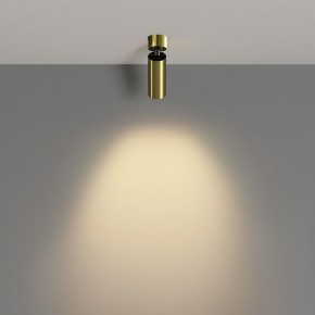 Светильник на штанге Maytoni FOCUS LED C055CL-L12W2.7K-W-BS в Кунгуре - kungur.ok-mebel.com | фото