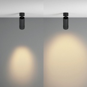 Светильник на штанге Maytoni Focus Zoom C055CL-L12W2.7K-Z-B в Кунгуре - kungur.ok-mebel.com | фото 3