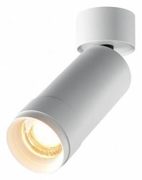 Светильник на штанге Maytoni Focus Zoom C055CL-L12W2.7K-Z-W в Кунгуре - kungur.ok-mebel.com | фото