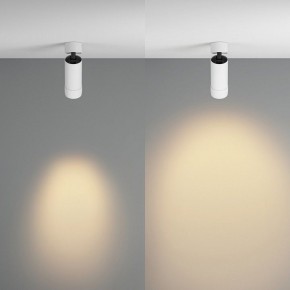 Светильник на штанге Maytoni Focus Zoom C055CL-L12W2.7K-Z-W в Кунгуре - kungur.ok-mebel.com | фото 3