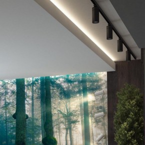 Светильник на штанге Novotech Dep 358593 в Кунгуре - kungur.ok-mebel.com | фото 4