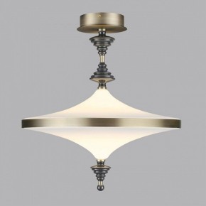 Светильник на штанге Odeon Light Ula 5404/43CL в Кунгуре - kungur.ok-mebel.com | фото 3