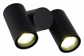 Светильник на штанге ST-Luce Ecollo SL9011.402.02 в Кунгуре - kungur.ok-mebel.com | фото 3