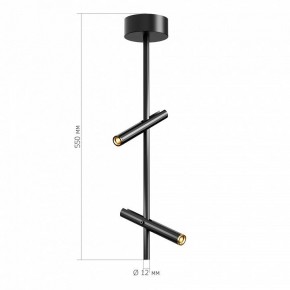 Светильник на штанге ST-Luce LILT SL6210.403.02 в Кунгуре - kungur.ok-mebel.com | фото 3