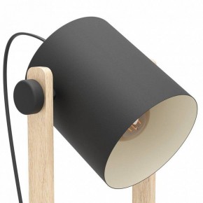 Торшер Eglo HORNWOOD 43521 в Кунгуре - kungur.ok-mebel.com | фото 4