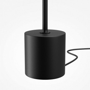 Торшер Maytoni Evolution MOD396FL-L10W3K в Кунгуре - kungur.ok-mebel.com | фото 6