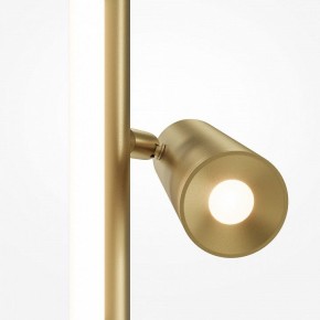 Торшер Maytoni Thin MOD395FL-L28BS3K в Кунгуре - kungur.ok-mebel.com | фото 5