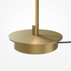 Торшер Maytoni Thin MOD395FL-L28BS3K в Кунгуре - kungur.ok-mebel.com | фото 7
