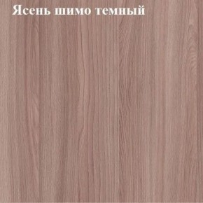 Вешалка для одежды (Ясень шимо темный) в Кунгуре - kungur.ok-mebel.com | фото 2